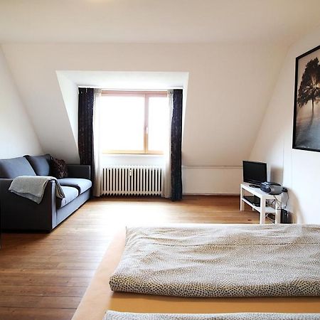 Zentrale Stadtwohnung - Direkt Am Main, Park-Ausblick Würzburg Exteriér fotografie